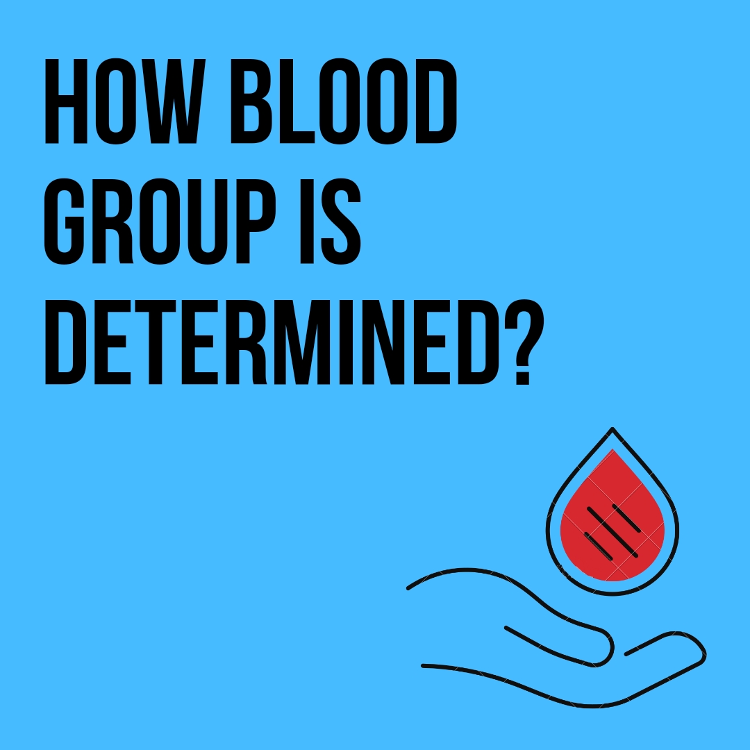 blood-group-img