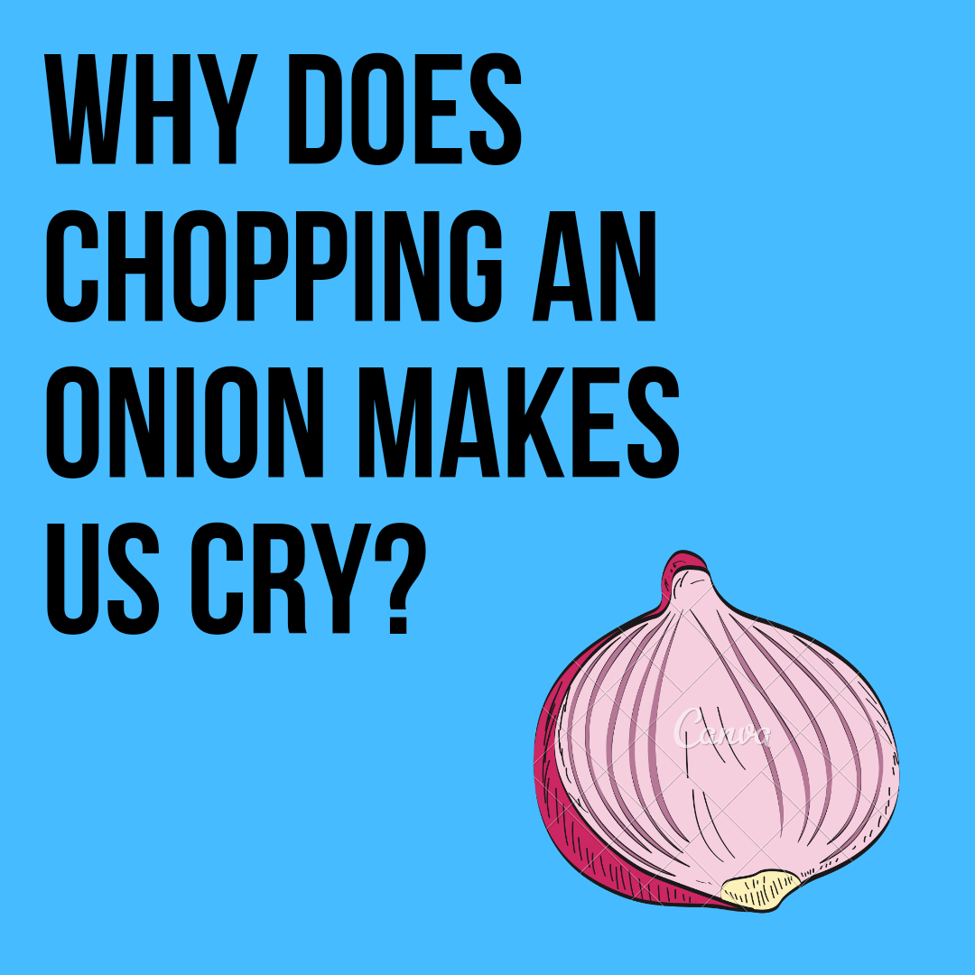 Why does chopping an onion makes us cry?