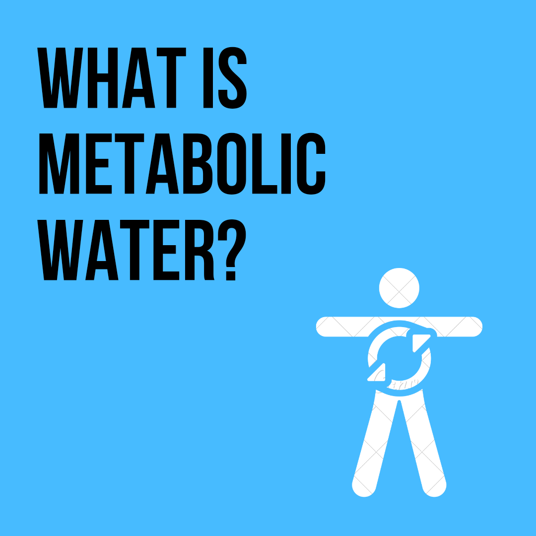 Metabolic Water